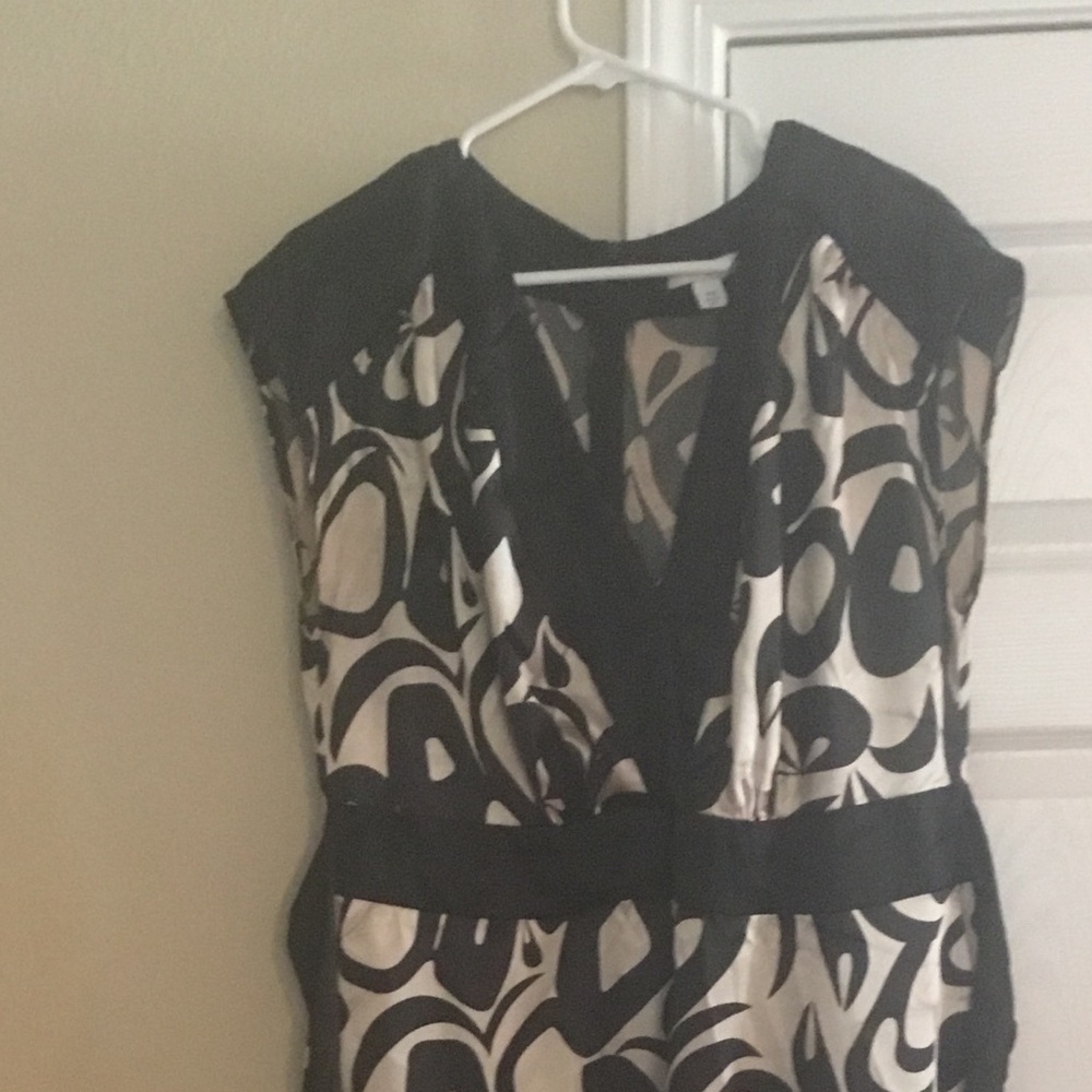 Silky Dressbarn dress